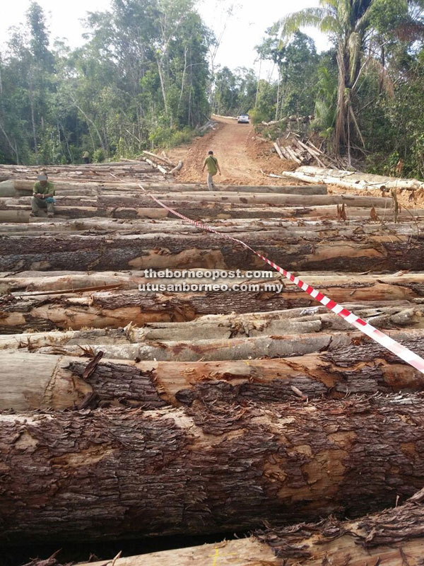 002_dec2016_seized-illegal-timber